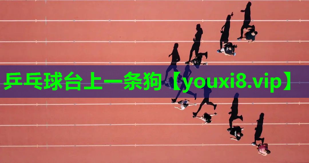 乒乓球台上一条狗