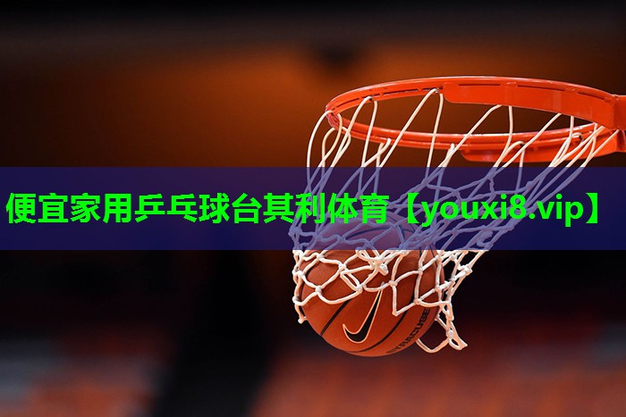 便宜家用乒乓球台其利体育