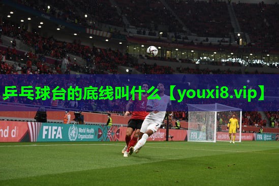 乒乓球台的底线叫什么