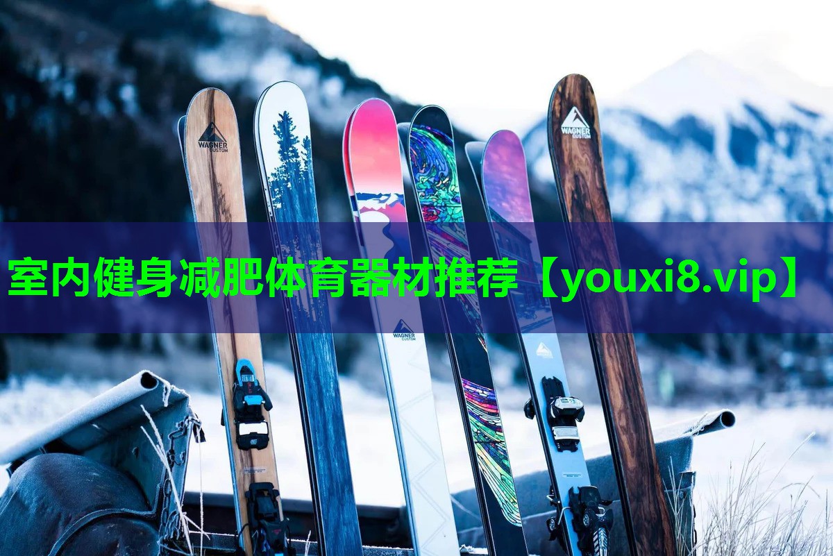室内健身减肥体育器材推荐