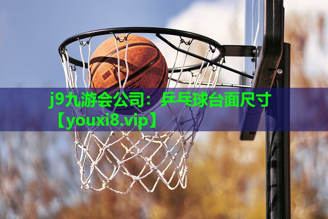乒乓球台面尺寸