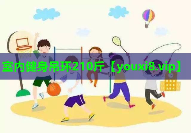 室内健身吊环210斤 室内健身吊环210斤
