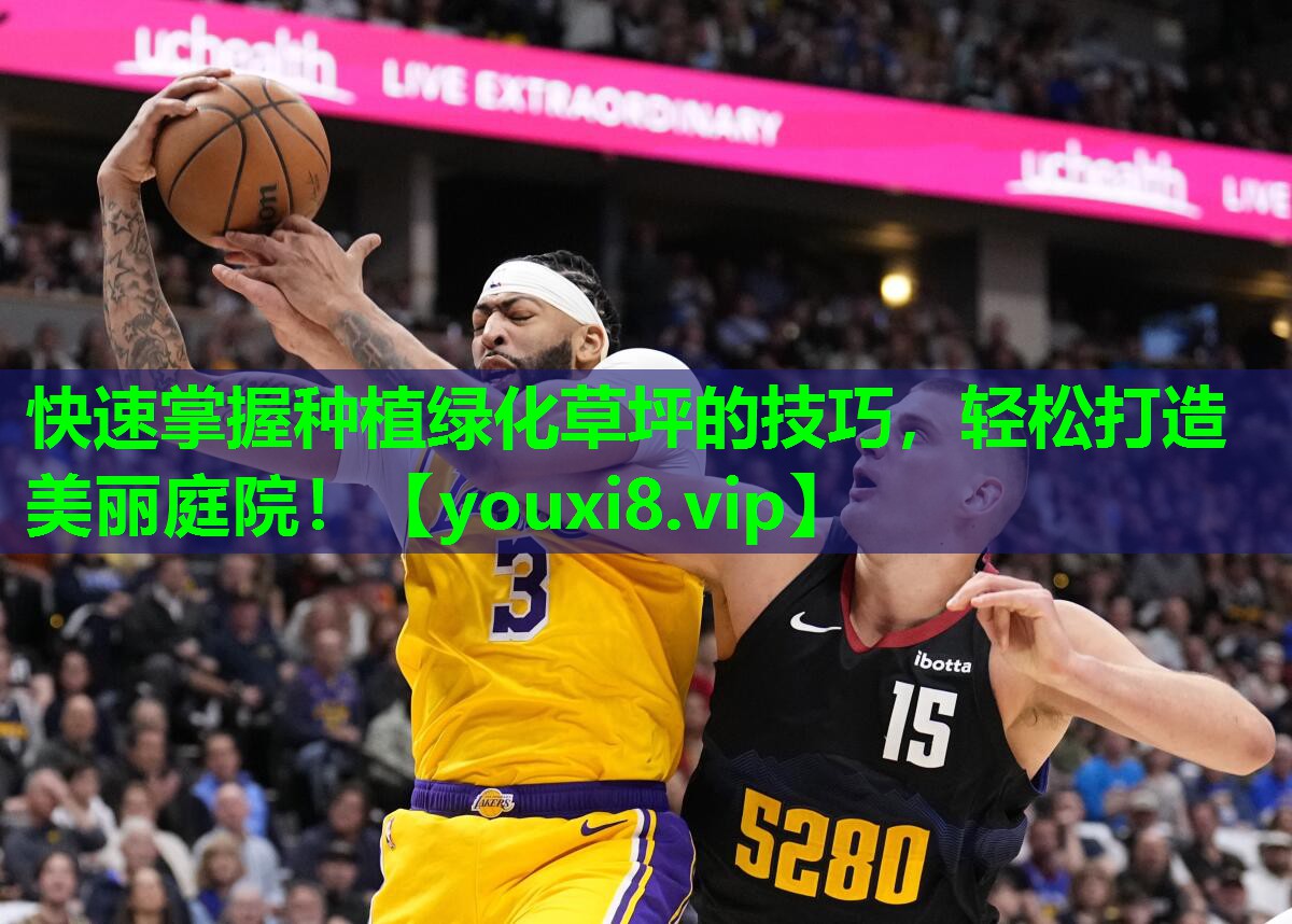 快速掌握种植绿化草坪的技巧,轻松打造美丽庭院! 快速掌握种植绿化草坪的技巧,轻松打造美丽庭院!