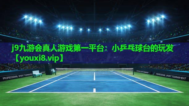 小乒乓球台的玩发 小乒乓球台的玩发