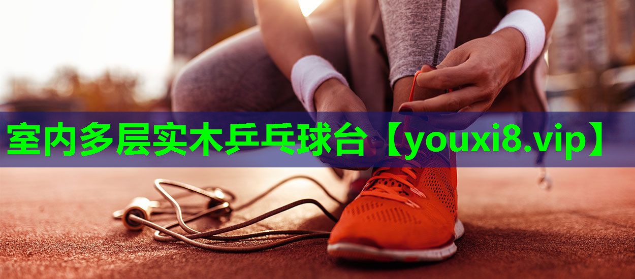 室内多层实木乒乓球台 室内多层实木乒乓球台