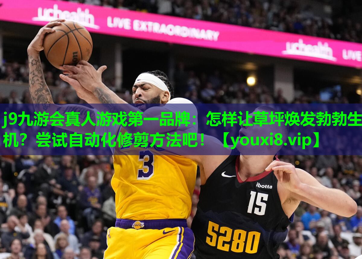 怎样让草坪焕发勃勃生机?尝试自动化修剪方法吧! 怎样让草坪焕发勃勃生机?尝试自动化修剪方法吧!